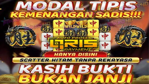 # modal tipis kemenangan sadis !!! scatter hitam tanpa rekayasa kasih bukti bukan janji